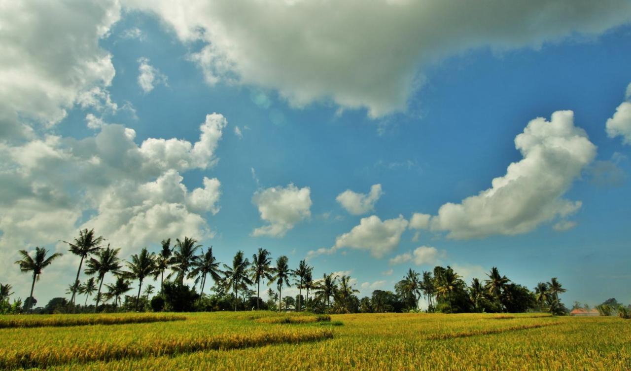Griya Private Villa Ubud  Exterior photo