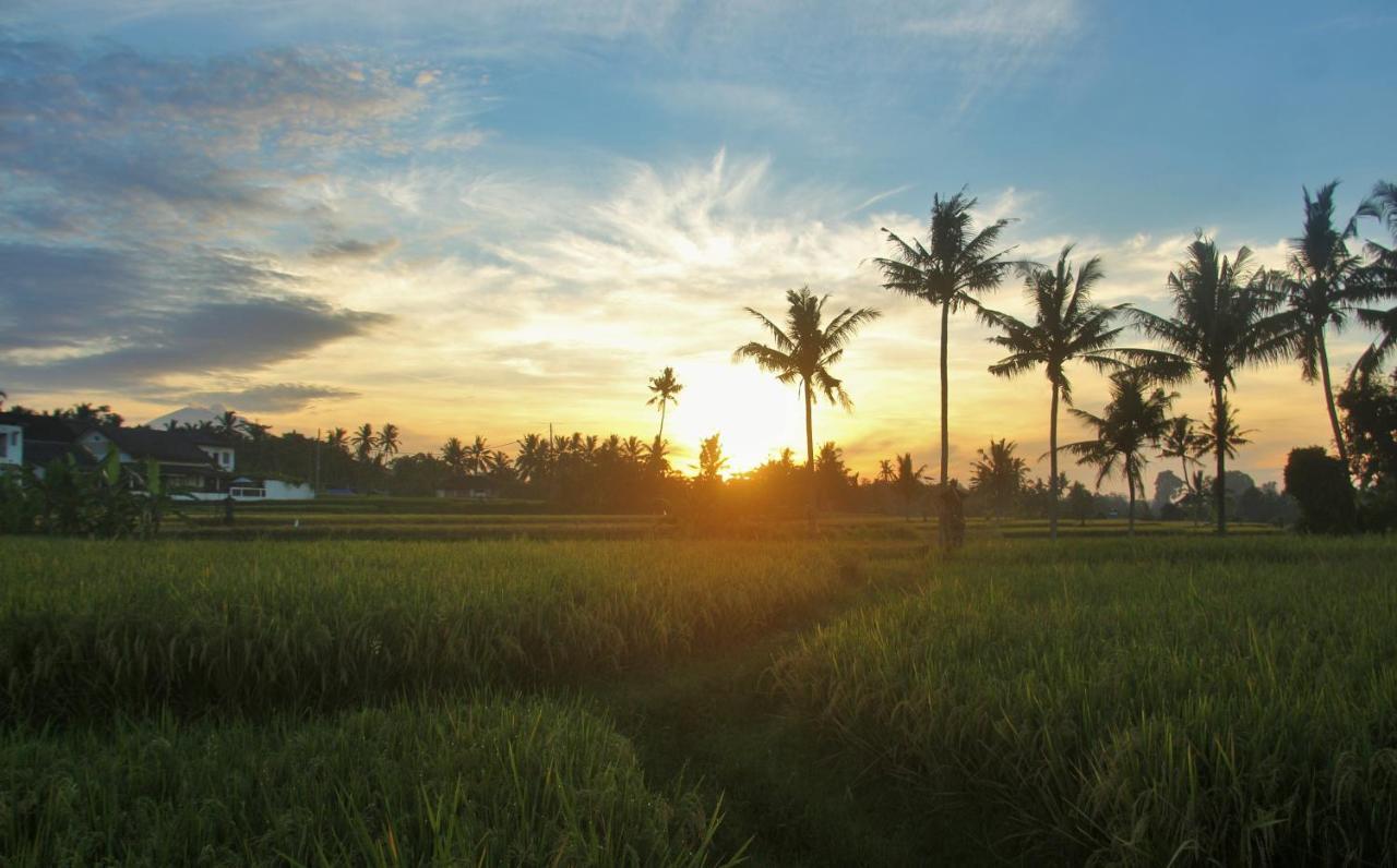 Griya Private Villa Ubud  Exterior photo